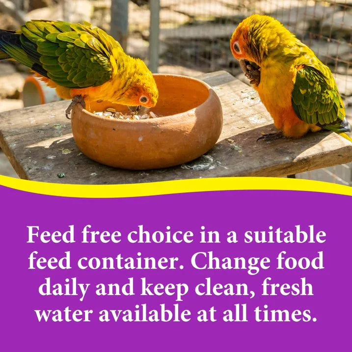 Wholesale Price with free shipping across the USA for 3-D Pet Products Premium Cockatiel Bird Food Seeds, with Probiotics, 4.5 lb. Stay Fresh Jar - Manji Distributors