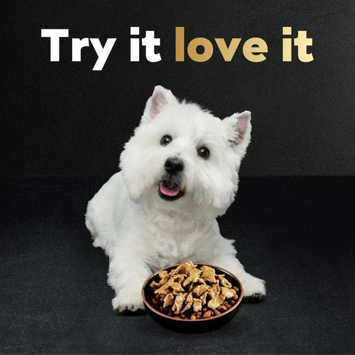 Wholesale Price with free shipping across the USA for (8 pack) Cesar Pouch Filets In Gravy Rotisserie Chicken Flavor Wet Dog Food, 1.76 Oz. Pouch, 1 Ct - Manji Distributors