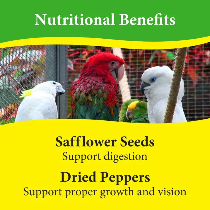 Wholesale Price with free shipping across the USA for 3-D Pet Products Premium Parrot Bird Food Seeds, with Probiotics, 8 lb. Bag, Dry - Manji Distributors