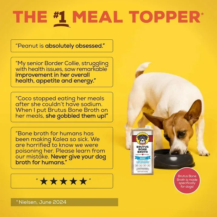 Wholesale Price with free shipping across the USA for Brutus Bone Broth Beef for Dogs - 32 oz, All Natural Human Grade Dog Food Topper with Chondroitin Glucosamine Turmeric, Great for Picky Eaters & Dry Food, Tasty & Nutritious - Manji Distributors