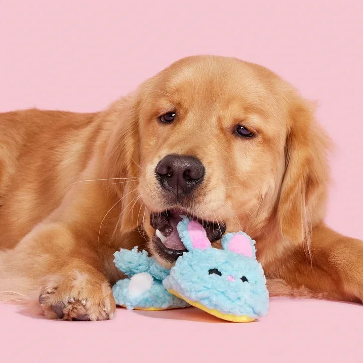 Wholesale Price with free shipping across the USA for BARK Yippy & Skippy Slippies Plush Dog Toys with Squeakers and Crazy Crinkle, for XS to Small Dogs - Manji Distributors