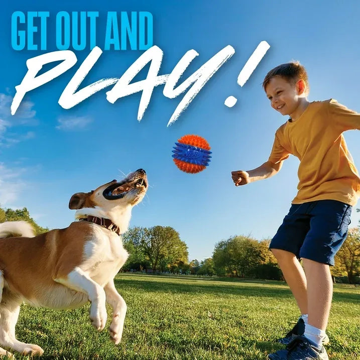 Wholesale Price with free shipping across the USA for Nerf Dog Squeaky Dental Spike Ball Dog Toy, Orange/Blue, 2.7 inch - Manji Distributors