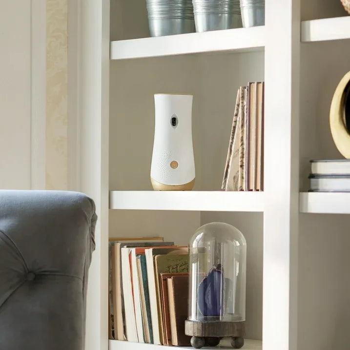 Wholesale Price with free shipping across the USA for (2 pack) Glade Automatic Spray Holder, Battery-Operated Air Freshener Spray, 10.2 oz, 1 Count - Manji Distributors