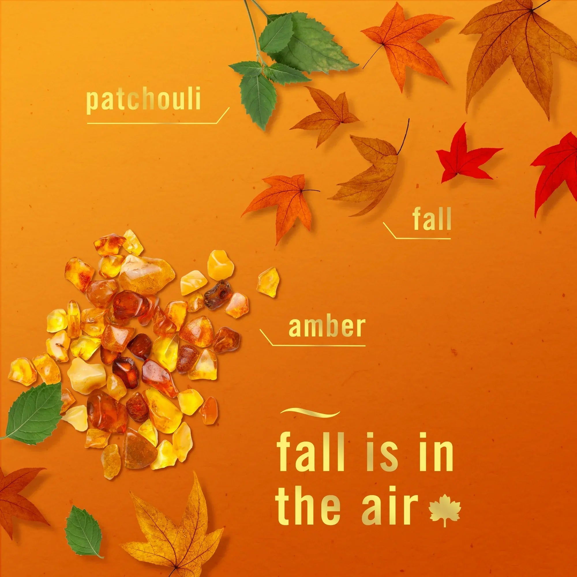 Wholesale Price with free shipping across the USA for (3 pack) Febreze Plug Refill Odor-Fighting Air Freshener Crisp Fall Breeze Scent, 2 Count, 0.87 fl oz Each - Manji Distributors