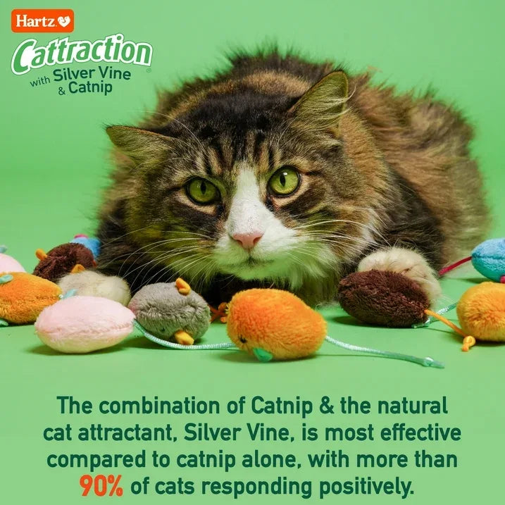 Wholesale Price with free shipping across the USA for Hartz Cattraction Cat Toy Variety Pack with Silver Vine & Catnip, 20 Count - Manji Distributors